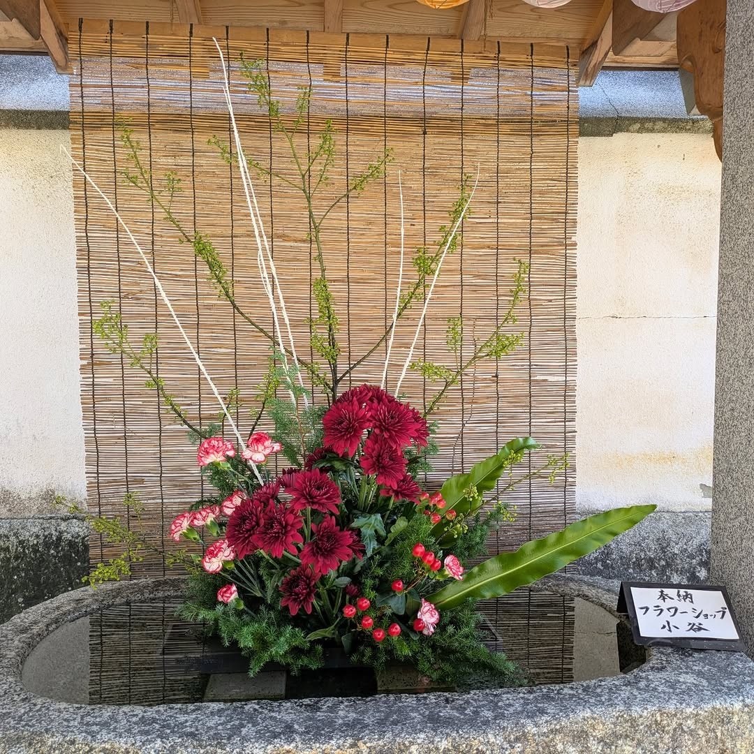 お花 itsukusima_m_photo_17650799353