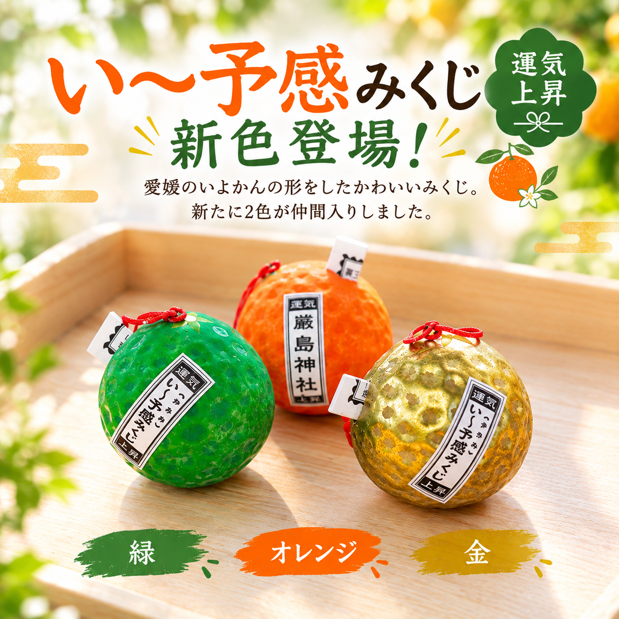 い～予感みくじ」に新しい色が仲間入りしました！ – [松山市] 三津厳島